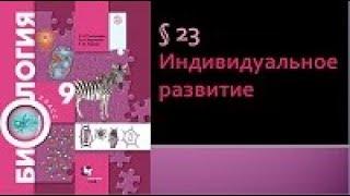 Биология 9 класс. Индивидуальное развитие