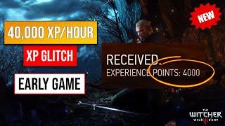 No One Is Talking About This XP Glitch In The Witcher 3 | Unlimited XP! Level Up Fast The Witcher 3