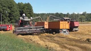 Harvesting triticale: PALESSE GS12, GS12 A1 PRO and John Deere 9640! 