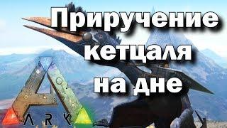 ARK#1 - "Легкое" томление кетцаля на дне или как нельзя томить