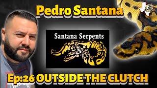 OUTSIDE THE CLUTCH | EPISODE 26 | PEDRO SANTANA OF SANTANA SERPENTS | BALL PYTHON BREEDER