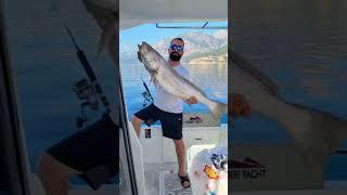 Alanya fishing tour  https://www.alanya-tours.com/en/alanya-fishing-tour   #alanyatour