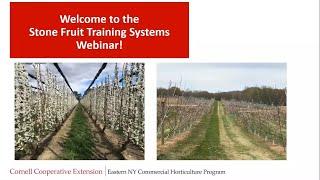 Modern Stone Fruit Training Systems webinar