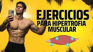 EJERCICIOS PARA HIPERTROFIA MUSCULAR