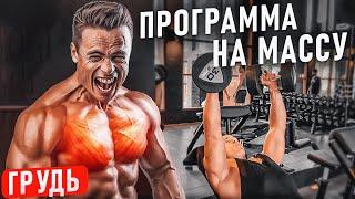 ПРОГРАММА тренировок НА МАССУ в зале! ГРУДНЫЕ!