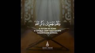 #лайк#коран#quran#хамзатчумаков#боровмухаммадбашир#исацечоев#напоминание