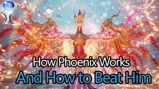 How Phoenix Works! Tips on How to Clear Bonds of Friendship!