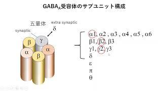 GABA受容体（イオンチャネル型）