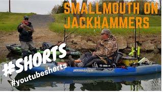 Smallmouth on Jackhammer (HAWG) BigBaitPosse #shorts #youtubeshorts