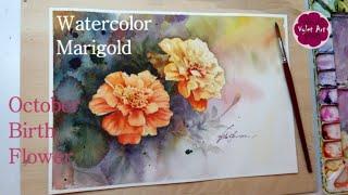 Watercolor Marigold, Birth Flower of October, Special Effect Rendering Background, 10月誕生花, 渲染法