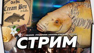 ⭐СТРИМ РР4 | 124:66 ЗДЕСЬ КЛЁВА НЕТ |  Призы В Рулетке!