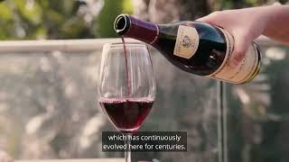 Jadot BMV Brand Video