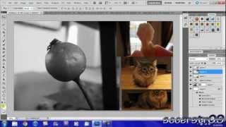 Adobe Photoshop CS5 Tutorial: Basic Editing