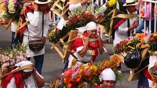 Medellin dazzles at the Flower Festival| CCTV English