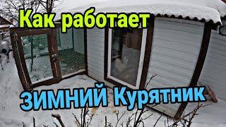 Зимнее содержание КУР. Зимний мини курятник.