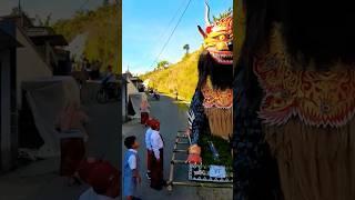 bocil pingin naik ogoh-ogoh singa barong rasaksa | Karnaval Ngemplak Windusari 2024 #shorts