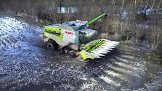 EXTREM CORN HARVEST in WATER ! Claas Lexion 8600TT | France | 2023