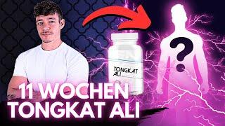 Ich habe 11 Wochen lang Tongkat Ali genommen… Das ist mit mir passiert! | Fitness Food Corner