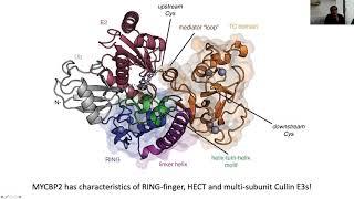 Targeted Protein Degradation And Proximity Pharmacology - 14 December 2020