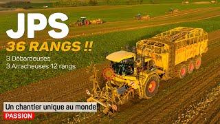 36 rows Sugarbeet harvesting !! | JPS CONSTRUCTION contractor Mega Star RD80 + 3x homemade harvester