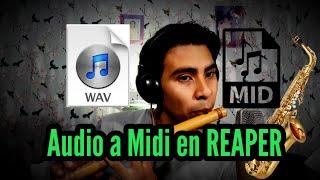 Convertir AUDIO a MIDI en REAPER