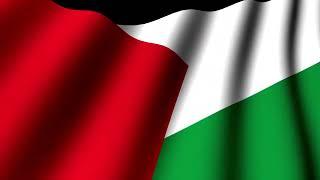 [9 Hours] State of Palestine Flag Waving - Video & Audio - Waving Flags