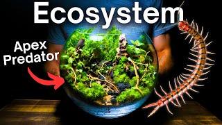 Creating a Multi Species Ecosystem Inside a Glass Bowl!