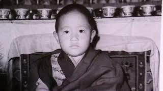 Bhutanese Birthday song for H. H. Shechen Rabjam Rinpoche.