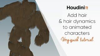 Hair generation and dynamics - Houdini 18 (Very Quick Tutorial)