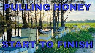 Pulling Honey- Start to Finish