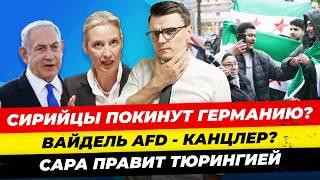 Главные новости 10.12: беженцы Сирии уедут из ФРГ? Вайдель AfD канцлер, Сирия Миша Бур