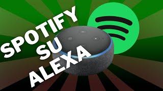 Come usare Spotify su Amazon Alexa, Echo Dot ed Echo Show