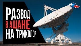 Тарелка за 1490 рублей из Ашана. Коварный развод!