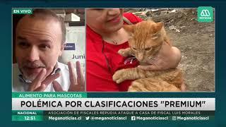 Médico veterinario y polémica por alimentos para mascotas: "Nos engañan absolutamente"