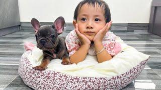 Diem was upset when she saw Mun dog destroying Monkey Kaka's bed