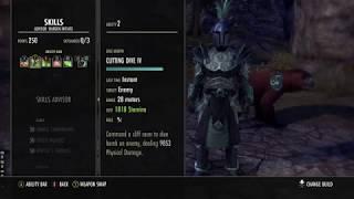 ESO Dragonbones  Stamina Warden DPS Build (40- 41k)- " Happy Tree Boi"