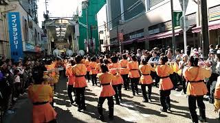 Kyoto Tachibana high school marching band plays " Tristeza "