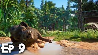 Wild Boar Root Cellar Habitat Build | Europe Pack Mini Zoo | Planet Zoo