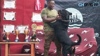 Rottweiler hugs owner after showing incredible obedience