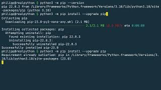 Installing Packages With pip: Python Basics