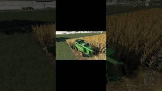 Harvesting corn John Deere T560