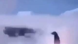 Penguin Murders man