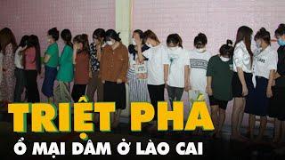 Nuôi dưỡng, khai thác một lúc 20 gái mại dâm