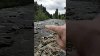 Gold panning basics with Garrett super sluice pan.