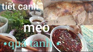 //mai tiển//tiết canh mèo quá tanh//thịt mèo bốn món //thánh ăn tiết canh