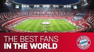 "Unsere Fans waren einfach lauter!" | Die besten Choreos beim FC Bayern