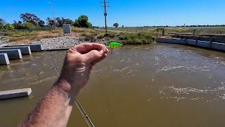 Fishing In The Berrigan Channel in NSW