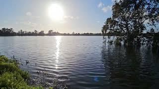 Yaar Hadera Flooded Reserve  4.3.2024 בריכת יער חדרה בהצפה ענקית