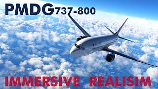 PMDG 737-800 REALISTIC POV FLIGHT KCLT - KMCO