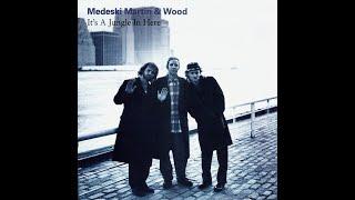 Medeski Martin & Wood - It's A Jungle In Here (Full Album)